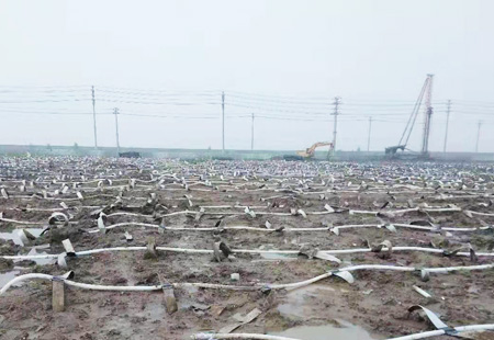 2025澳门原料1688大全